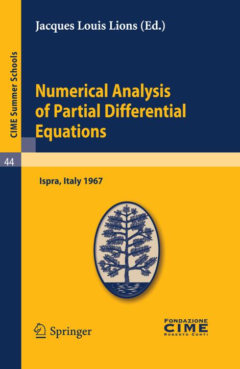 Analisi numerica delle equazioni differenziali parziali (Englisch, Französisch, Italienisch, 2011)
