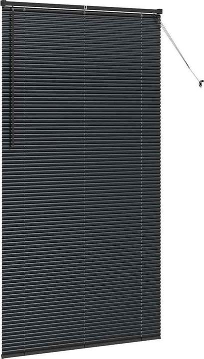 Image du produit VidaXL Fensterjalousien (110 x 220 cm)