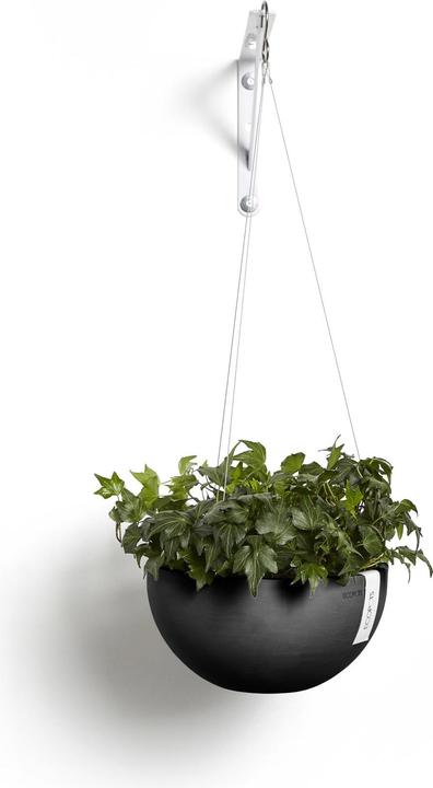 Immagine prodotto Ecopots Hanging Brussels (27 cm)