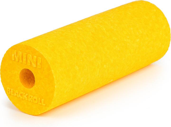 Image du produit Blackroll Mini