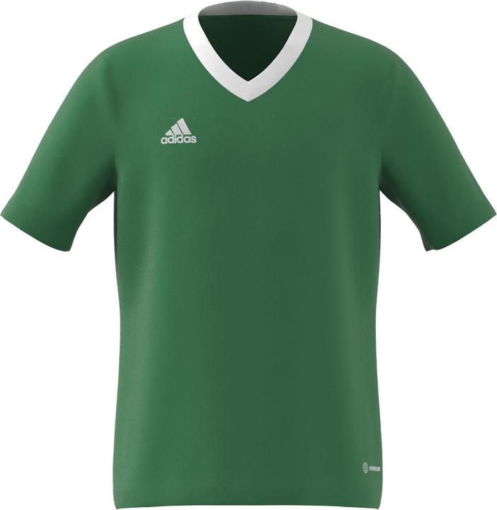 Produktbild adidas Entrada 22 Trikot (116)