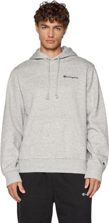Actual product image Champion Hooded Sweatshirt (L)