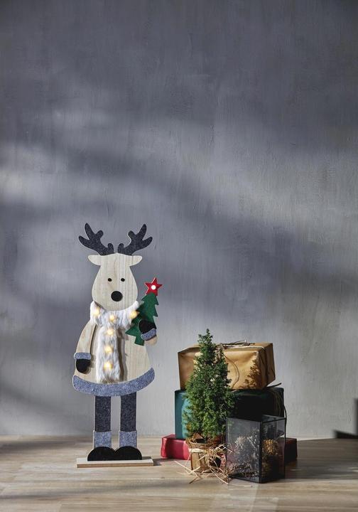 Image du produit Star Trading Décoration intérieure Billy