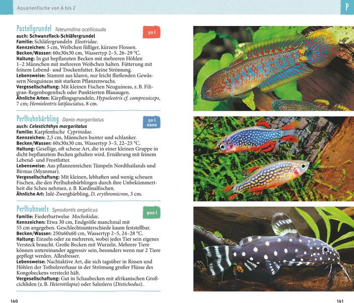 Actual product image Aquarienfische von A bis Z (German, Ulrich Schliewen, 2017)