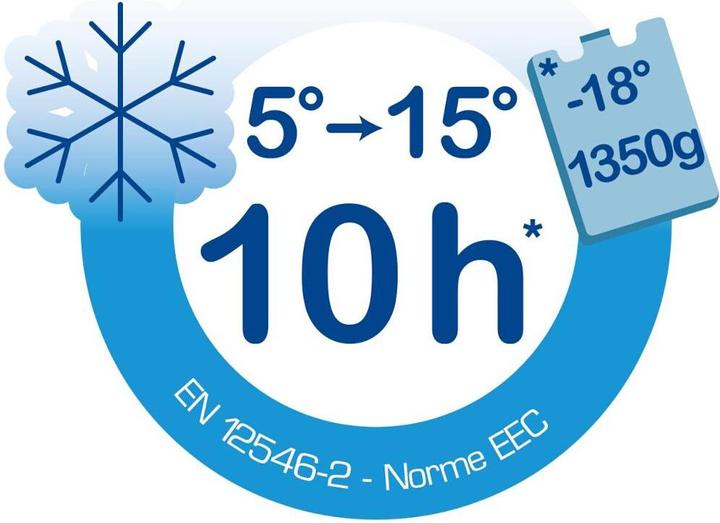 Actual product image EDA Plastiques Kühlbox Promotion 15 l blau/grau blauer Deckel, Box grau (15 l)