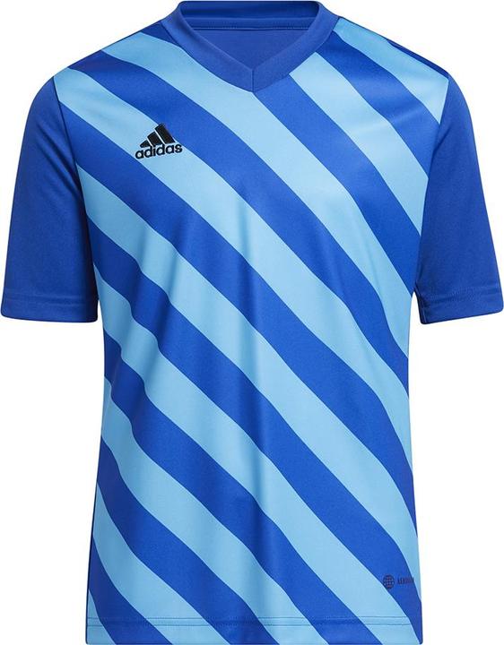 Produktbild adidas Entrada 22 Graphic Trikot (116)