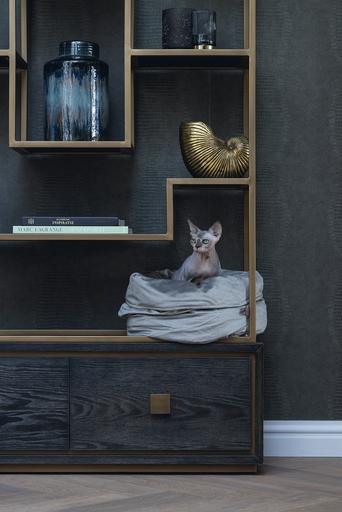 Productafbeelding Designed by Lotte Fluco (Kat)