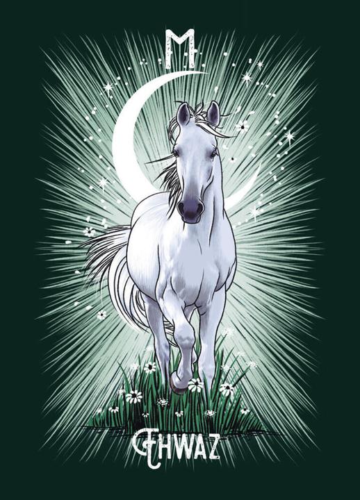 Produktbild Das Krafttiere Runen Orakel (Deutsch, Athene Noctua, 2024)