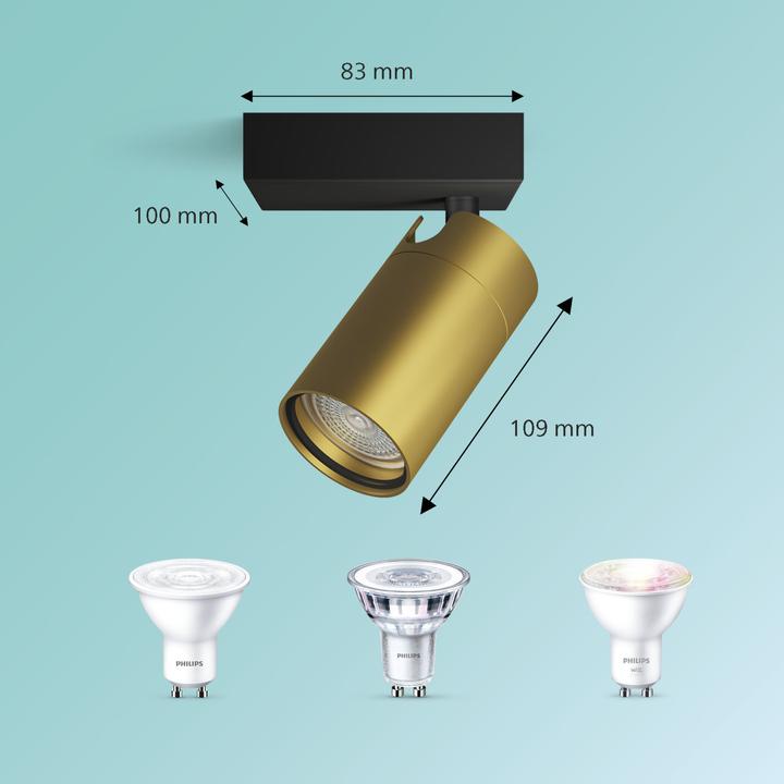 Produktbild Philips Idris (GU10)
