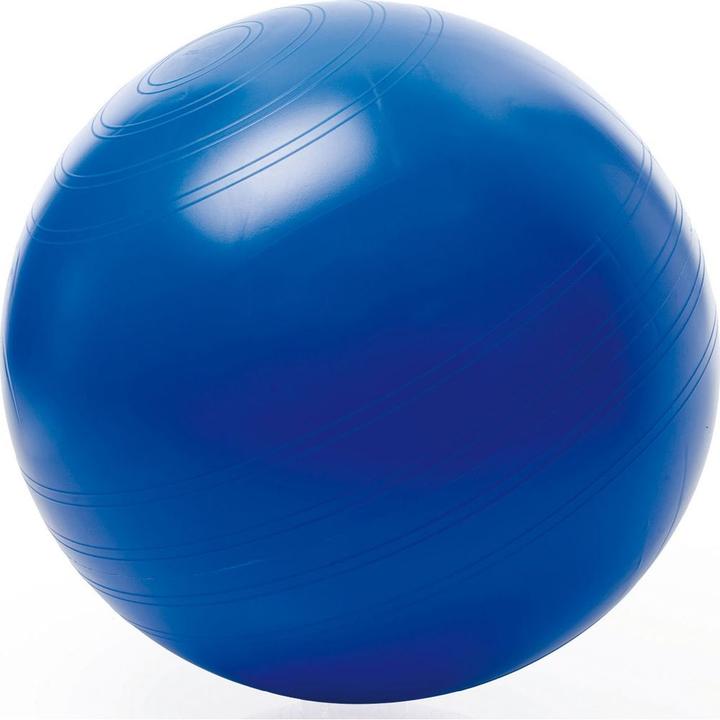Produktbild Togu Sitzball ABS (45 cm)