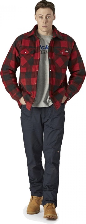 Productafbeelding Dickies Portland (M)
