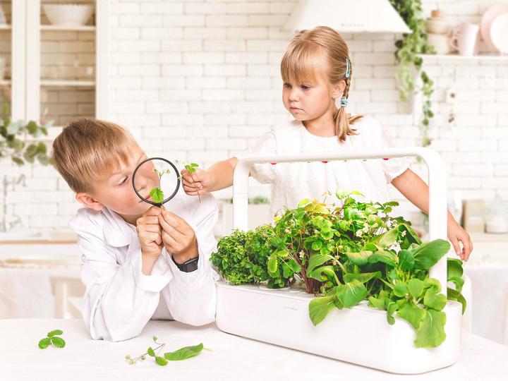 Image du produit Click and Grow Smart Garden 9 (62.50 cm)