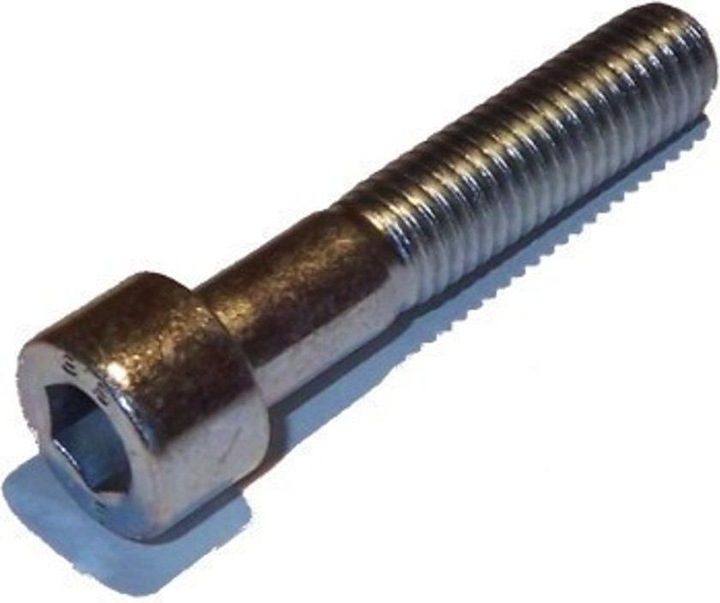 Actual product image Kletterbude Climbing grip screw M10 Cylinder head screw