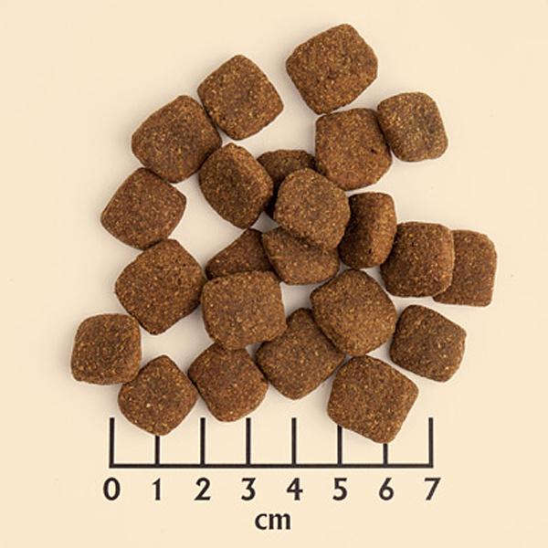 Actual product image Wolfsblut Wild Duck Large Breed (Adult, 1 pcs., 2000 g)