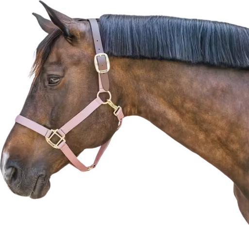 Produktbild Kentucky Horsewear Breakaway