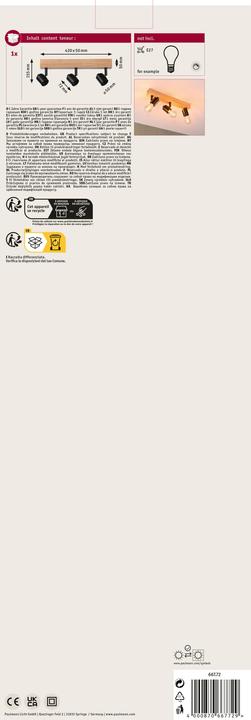 Image du produit Paulmann Pleins feux sur Arvid (E27)