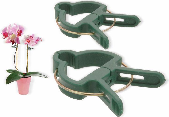 Eneroid Clip per piante, 20 pezzi