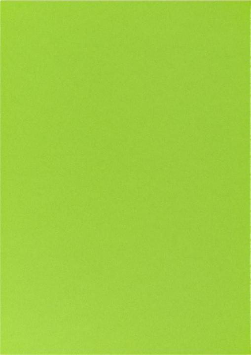 Produktbild Fotokarton A4, Grasgrün (270 g/m², 1 x)