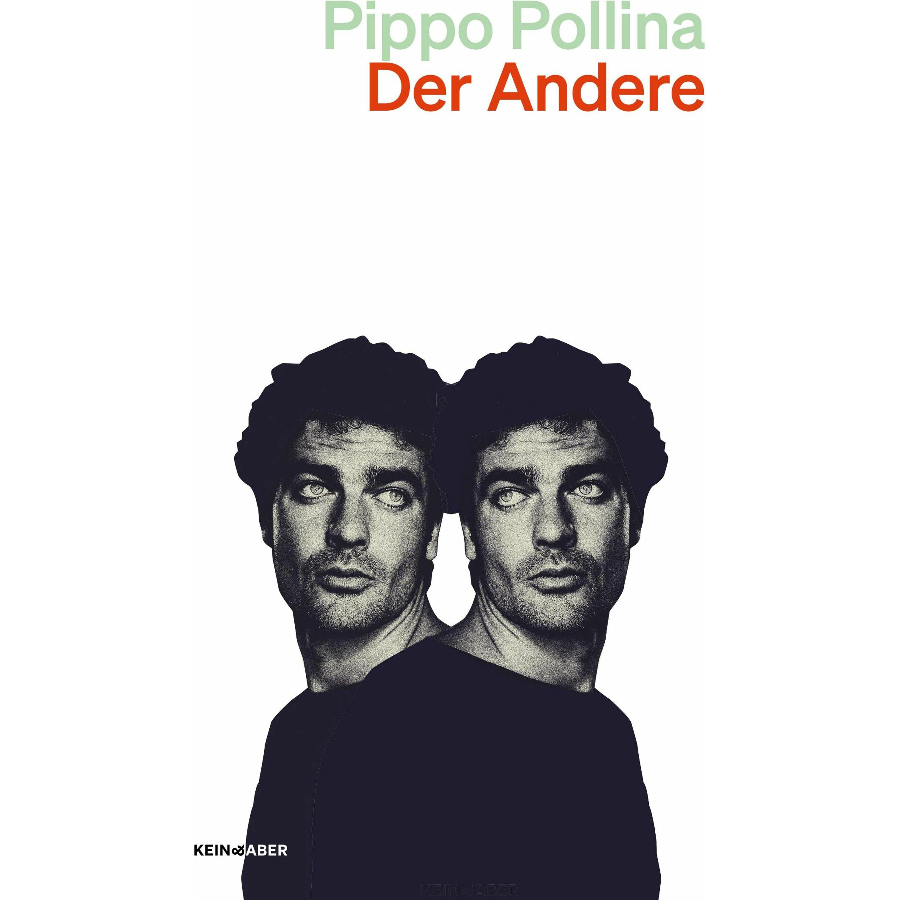 Der Andere, Belletristik von Pippo Pollina