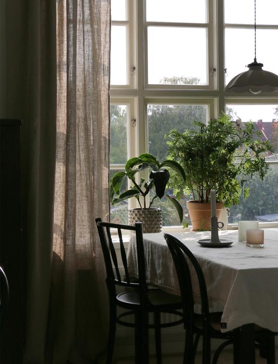 Productafbeelding Himla Zonneschijn (140 x 290 cm)