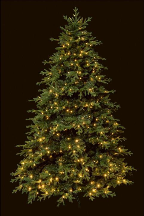 Image du produit STT Arbre (250 cm)