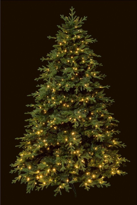 Actual product image STT Tree (250 cm)