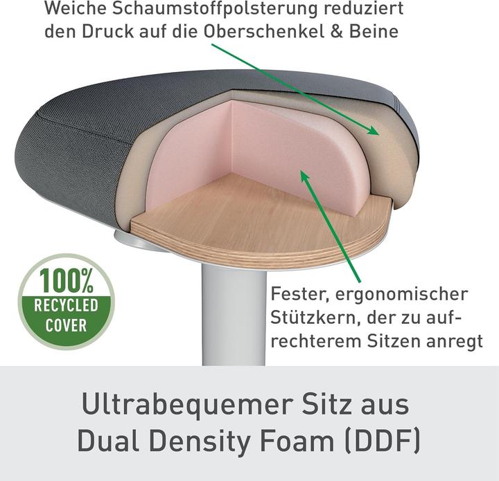 Produktbild Leitz Ergo Active