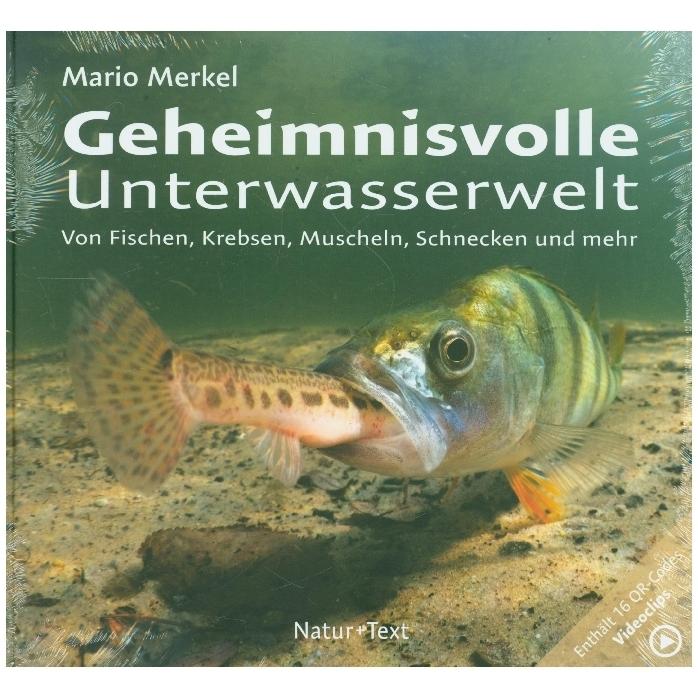 Geheimnisvolle Unterwasserwelt, Ratgeber von Mario Merkel
