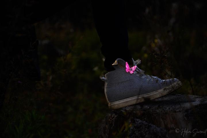 Actual product image Softreflector Shoe reflector (4.20 cm)