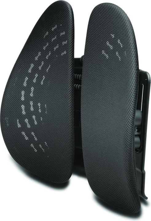 Kensington K60412WW SmartFit supporto posteriore regolabile