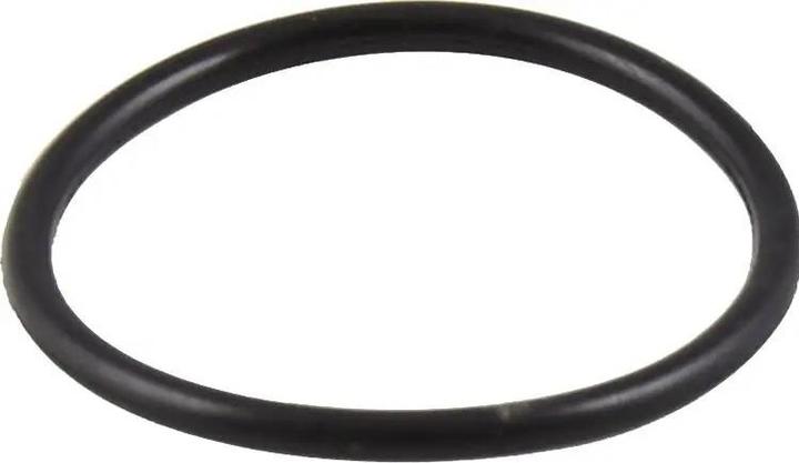 Actual product image Dial 911 O-Ring