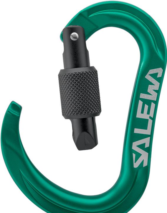 Actual product image Salewa Ortles Hms S Carabiner