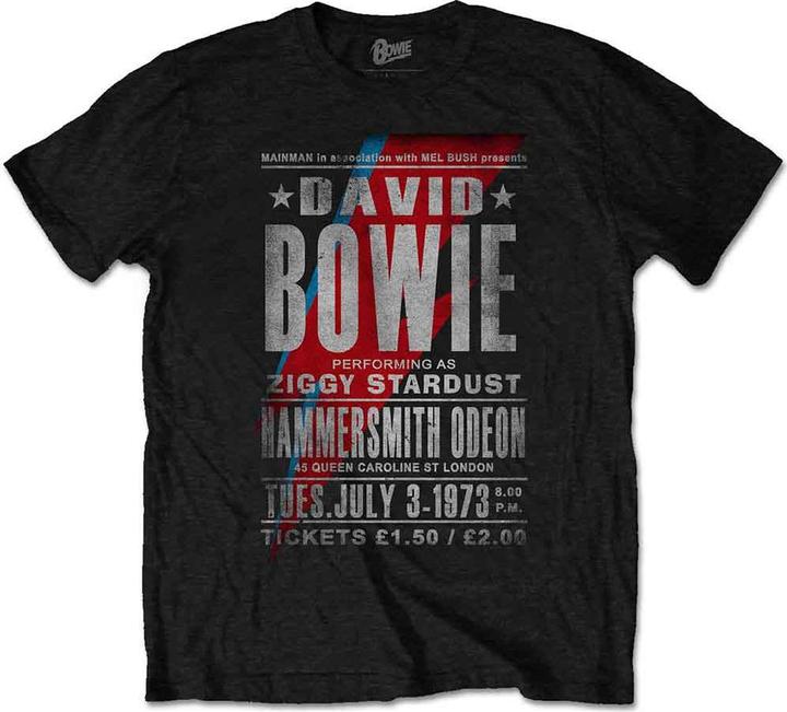 David Bowie Hammersmith Odeon
