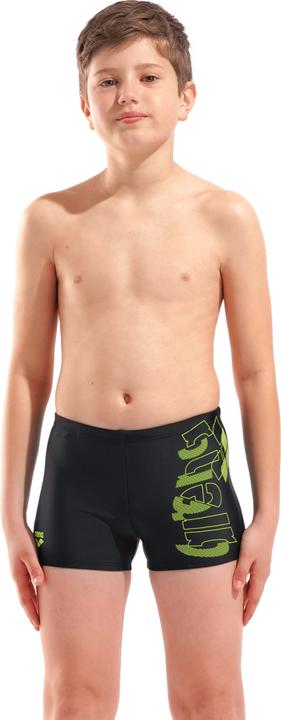 Actual product image Arena B Tales Swim Short (128)