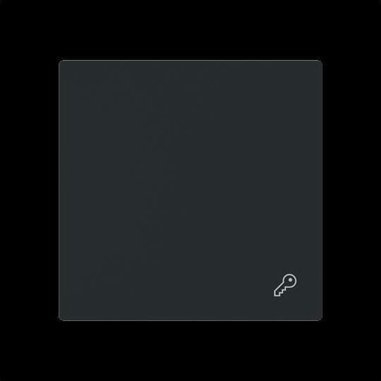 Produktbild Busch-Jaeger Wippe