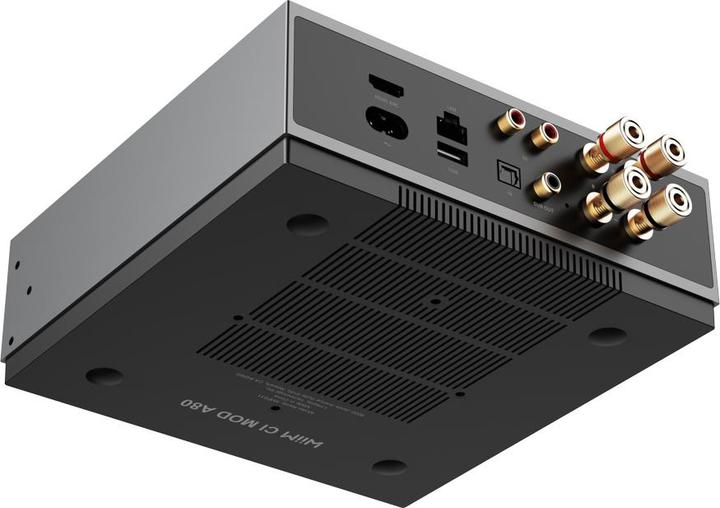 Immagine prodotto WiiM Suono LPWISND (Google Assistant, Apple Siri, Amazon Alexa)