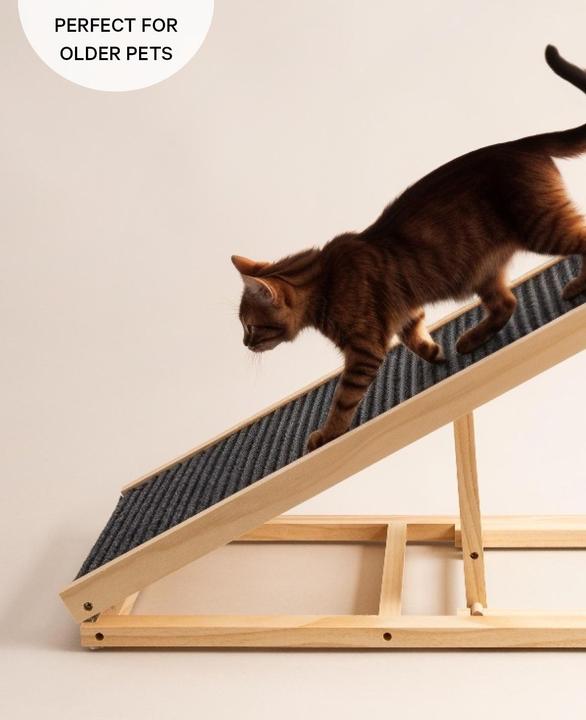 Actual product image Esmée Pet ramp (Dog, Foldable)