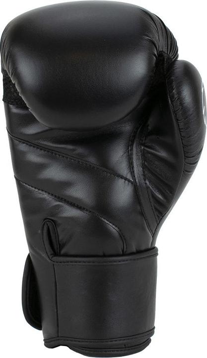 Produktbild Super Pro Combat Gear Champ Boxhandschuhe (10 OZ, 10)