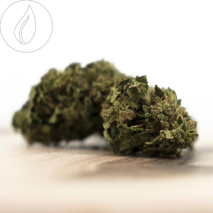 Immagine prodotto Herba di Berna Cannatonic Outdoor in edizione limitata (45 g, Esterno)