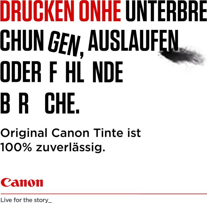 Actual product image Canon PG-545XL/CL-546XL Photo Value Pack (FC, Color)