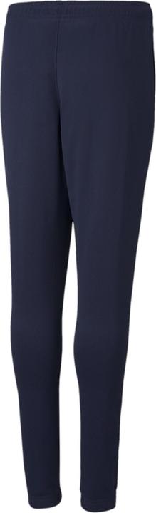 Actual product image Puma teamRISE Poly Trg Pants Jr-657391 (164)