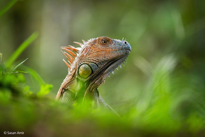 Produktbild Sony FE 400-800mm F6.3-8 G OSS (Sony E, Vollformat)