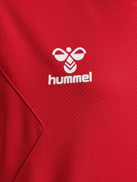 Immagine prodotto hummel Hmlauthentic Pl Hoodie Kids (128)