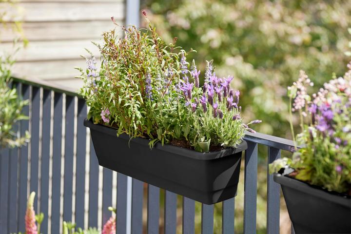 Immagine prodotto Elho Box da balcone Noa (20 cm)