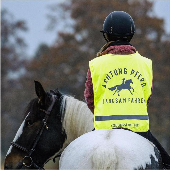 Image du produit Soulhorse Avant-train lumineux