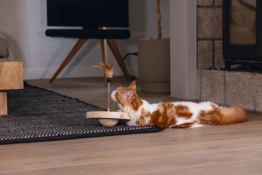 Image du produit Designed by Lotte Winni