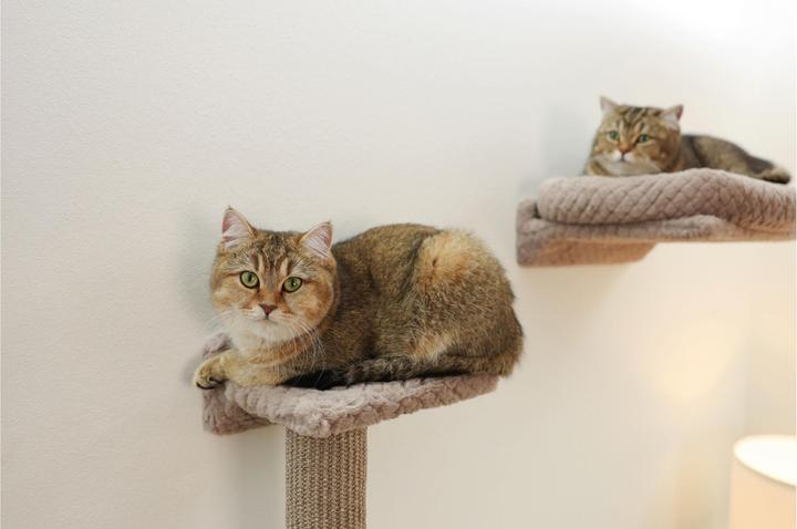 Produktbild Kerbl Monte Alpi (40 cm, Steinbraun)