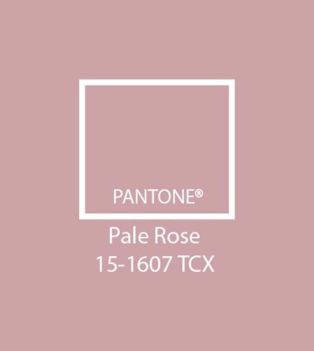 Immagine prodotto Hoppekids BUNDLE IDA MARIE letto junior 70x160 cm con protezione anticaduta extra in Rosa pallido (70 x 160 cm)