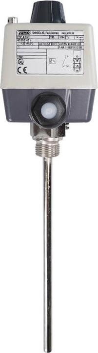 Image du produit Jumo 60001035