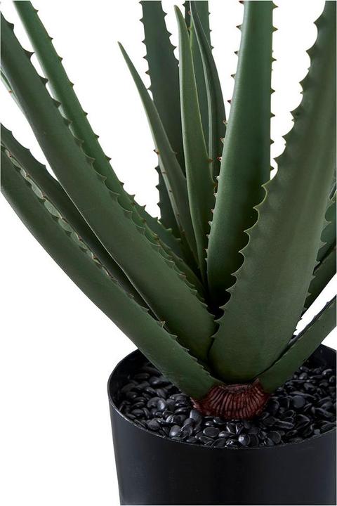 Actual product image House Nordic Aloe (51 cm)